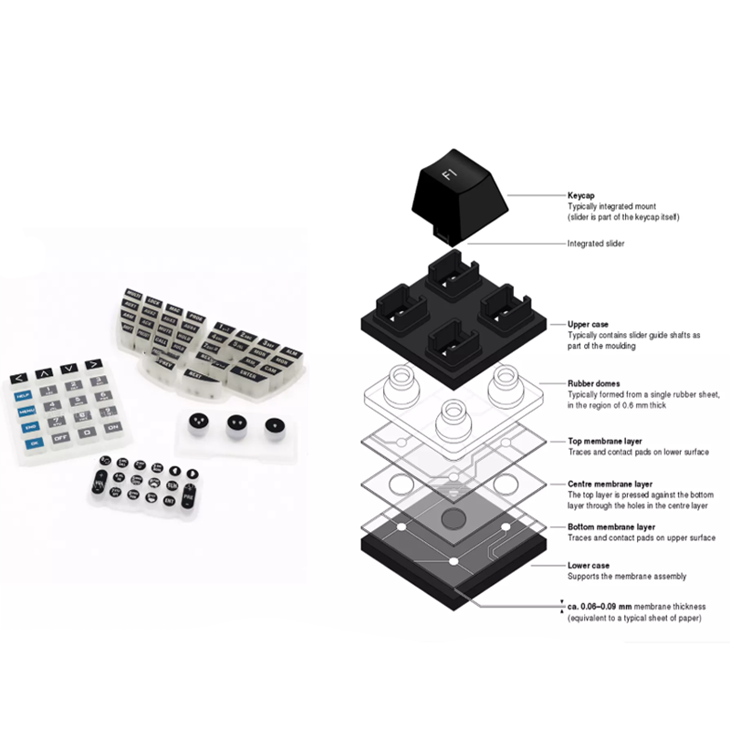 Key Differences Between Membrane and Rubber Dome Keyboards1